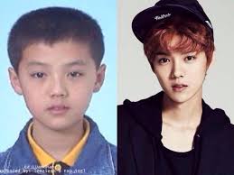 Sehun Has Sort Of A Big Head Sehun Sorting Big