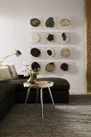 Phillips Collection Floating Petrified Slice Assorted Wall Art