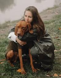 Earn points & unlock badges learning, sharing & helping adopt. 14 Reasons Why You Should Never Own Hungarian Vizslas Petpress Vizsla Puppies Vizsla Dogs Grey Hound Dog