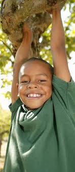 Taking a Closer Look at the Reduction in Entry Rates for Children in  Sacramento County with an Emphasis