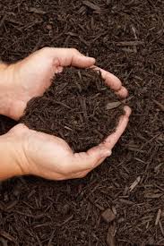 Raking scattered pine bark mulch back into flower beds. How To Select The Best Mulch For Flowerbeds And Gardens