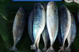 Kandungan serat pada beras coklat inilah yang dapat membantu menurunkan kolesterol. 11 Manfaat Ikan Kembung Dan Kandungan Nutrisi Di Dalamnya