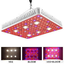Full Spectrum Led Grow Light 1000w 2000w 3000w Cob Led Plant Light Grow Lamp For Indoor Plants Greenhouse Grow Shop 600w Grow Light Grow Light Reflector From Light Lead 120 61 Dhgate Com