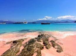 Opal sands video footage shows property exterior and zooms into a car pulling up to the main entrance. Best Pink Sand Beaches 10 Most Breathtaking Pink Sand Beaches In The World