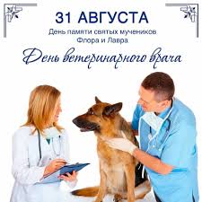 31 августа 2021 — день ветеринара. Kartinki S Dnyom Veterinara Otkrytki I Prikolnye Pozdravleniya Na Prazdnik 31 Avgusta