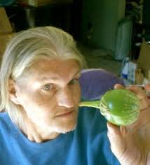 What are these little yellow things