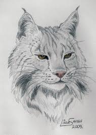 Copper Lynx By Artsy50 On Deviantart Animal Drawings Cool Art Drawings Cat Drawing