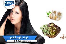 فوائد الثوم للشعر تقوية الشعر ومنع تساقطه يحتوي على مركب الأليسين الذي يزيد مرور الهيموغلوبين نحو فروة الشعر الأمر الذي Medical Supplies Pharma