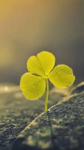 Pin By Berii On Duvar Kagitlari Fotolar Landscape Wallpaper Desktop Wallpaper Art Cool Desktop Wallpapers