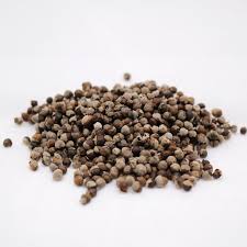 Image result for Vitex strickeri