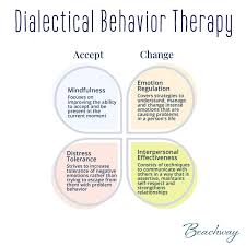 Image result for Dialectical Behavior Therapy