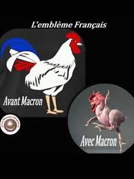 Résultat de recherche d'images pour "LA FRANCE DÉPLUMÉE"