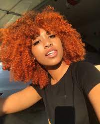 Pin By Leslie York On Protective Styles Dyed Natural Hair Ginger Hair Color Ginger Hair