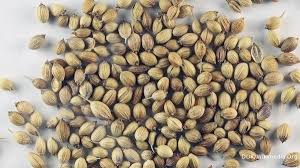 Biji ketumbar juga dikenal sebagai coriandrum sativum. 5 Manfaat Ketumbar Terbaik Untuk Kesehatan Anda