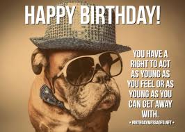 In the same way that a funny photo is a great souvenir from a wild birthday party, a happy birthday card can be the ultimate introduction to it. Funny Birthday Wishes Quotes Funny Birthday Messages