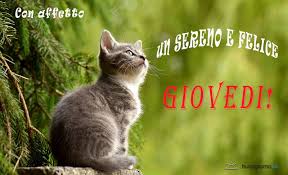 un saluto
