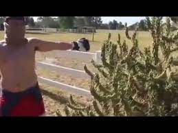 As far as hitting the ground and/or hitting something else is concerned after getting off. Crazy Guy Jumps On A Cactus Epic Fails Youtube