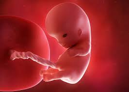 Daca durerile se insotesc de sangerare minima si ecografia nu evidentiaza o sarcina in uter se poate suspicia o. Sarcina Pe Saptamani Calendar Sarcina Miculrinocer Ro