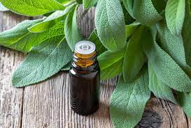 Color your grey hair with sage. 5 Benefits Of Sage For Hair And Ways To Use It Emedihealth