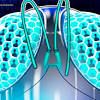 Story image for Cryptocurrencies from Cointelegraph