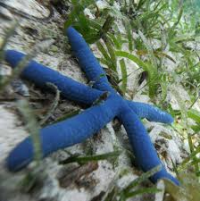 You can easily improve your search by specifying the number of letters in the answer. Low Key The New York Times