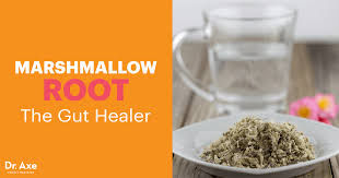 It can soothe dry cough, and also coughs caused by the common cold. Marshmallow Root Benefits Uses Risks Side Effects And More Dr Axe