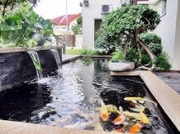 Punya sedikit lahan kosong di belakang rumah? Kolam Ikan Minimalis 18 Gambar Desain Inpirasi Trend 2019