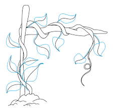 Find the perfect vines wrapped around stock photos and editorial news pictures from getty images. How To Draw Vines Really Easy Drawing Tutorial