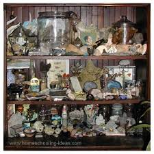 Curiosity cabinets celebrate the art of collecting unusual items. Homeschooling Cabinet Of Curiosities