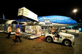 «700 mil vacunas pfizer llegan este fin de semana al país». Vacunas Llego Al Peru El Tercer Lote De 50 000 Dosis Del Laboratorio Pfizer