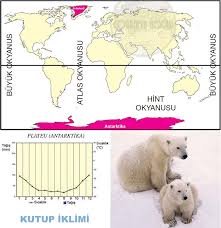 Tundra iklimi soğuk iklimler arasında yer almaktadır. Yeryuzundeki Baslica Iklim Tipleri Cografya Hocasi