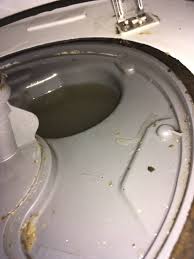 I don't believe it is a situation where the dishwasher fails to completely drains after washing dishes. Should There Be Standing Water In This Part Of My Dishwasher Home Improvement Stack Exchange