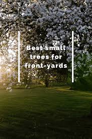 The best small garden trees. The Best 10 Small Trees For Your Front Yard Just Trees Online