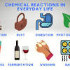 A decomposition reaction is called the. 1