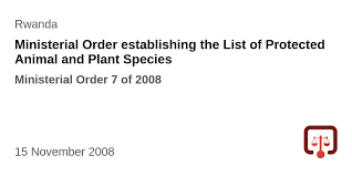 Image result for Tridactyle anthomaniaca