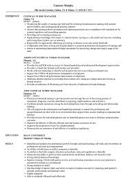 Management is to plan, organize, direct, and control available human, material, and financial resources to deliver quality care to patients and families. Clinical Nurse Manager Resume Samples Velvet Jobs