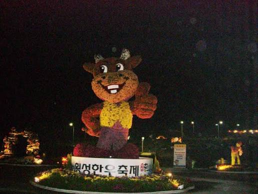횡성한우축제 写真 4