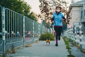 Best Running Dogs Best Dog Breeds For Runners 2021