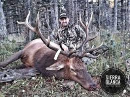 Book your new mexico hunting trip with graham ggs hunts are conducted 80% on the lincoln national forest, and the white mountain wilderness. New Mexico Public Land Elk Hunts Gila Forest