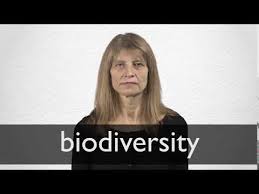 French Translation Of Biodiversity Collins English French Dictionary