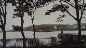 A SHORT HISTORY OF ELMWOOD TERRACE, PART 8