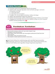 Ada antara tumbuhan ini dijadikan hiasan laman dan di dalam rumah. Snt1 Bteks Bab 4 Pembiakan Bab4 7pembiakan Tumbuhan Flip Ebook Pages 1 17 Anyflip Anyflip