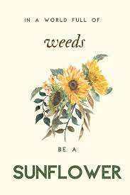 Sunflower quotes can quickly help you formulate a picture in your mind of these magnificent plants. In A World Full Of Weeds Be A Sunflower Yellow Hippie Journal With Inspirational Quotes Motivational Notebook Inspirational Journals For Women To Or Diary Minimalist Motivation Gift 6x9 Designs