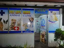 Existing clients can click the link below to download the app! Pet Life Care Animal Clinic Home Facebook