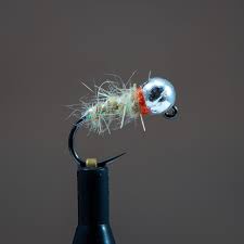 Sow Bug