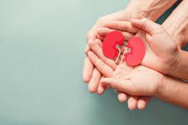 Hypertension (htn) & chronic kidney disease (ckd) • when making a diagnosis, also. 4 Kidney Diseases And How To Avoid Them