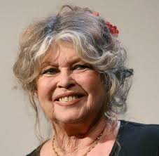 Brigitte bardot gallery, video, articles and hair/ makeup tutorials. Brigitte Bardot Ich Hatte Es Nur Denken Aber Nicht Aussprechen Sollen Welt