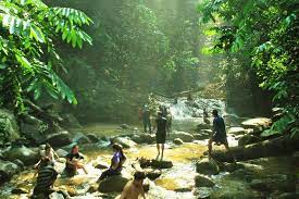 Jungle trek or hiking is one of the many things to do in pulau kapas, marang, malaysia! The Dusun Jungle Trekking Abenteuer Zum Wasserfall Mit Jungle Guide 2021 Kuala Lumpur Tiefpreisgarantie