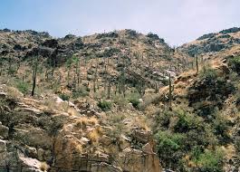 Find hotels in tucson (az), united states. Bear Canyon Trail Seven Falls Sabino Canyon Tucson Arizona