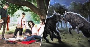 If Jk Rowling Wrote A Book Set In The Marauder Era, Would It Be Any Good? -  Quora